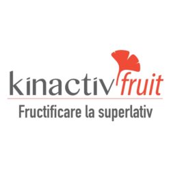 Kinactiv Fruit