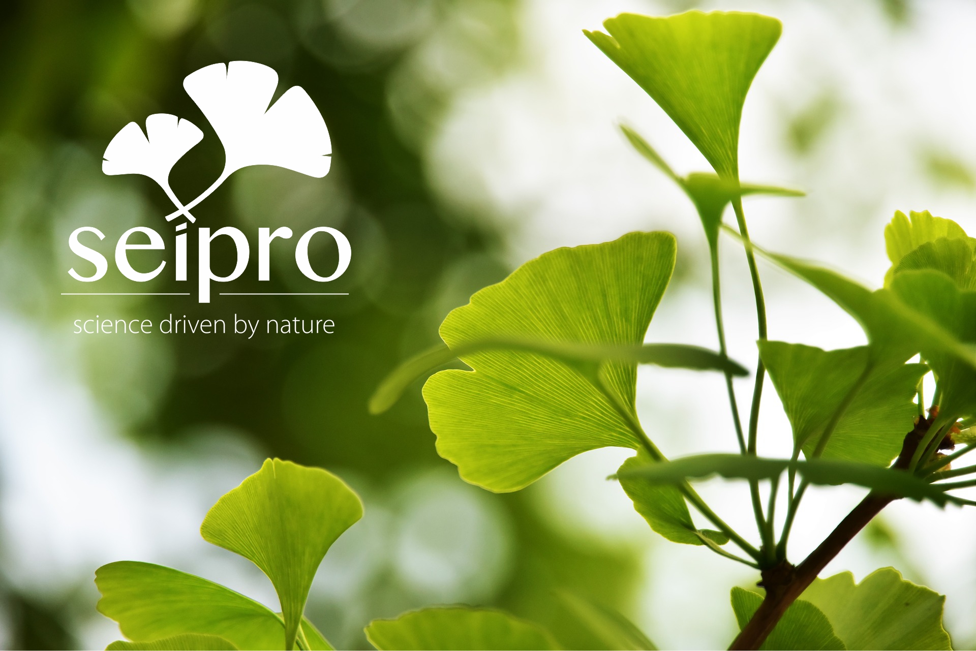 Seipro – Solutia ecologica