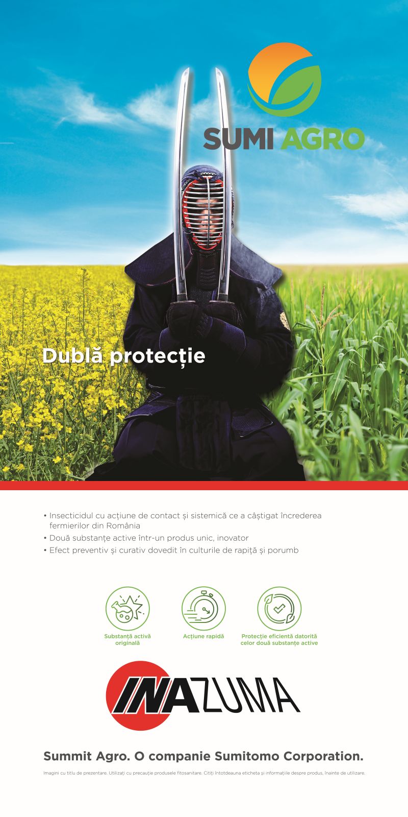 layout Inazuma - luptataorul cu 2 sabii